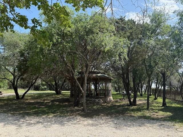 4045 Jimmy Houston Way, Bluff Dale TX 76433 - Photo 9