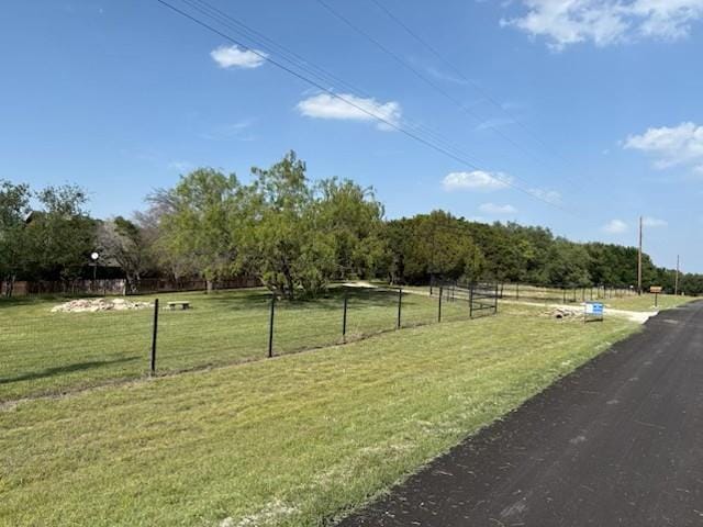 4045 Jimmy Houston Way, Bluff Dale TX 76433 - Photo 4