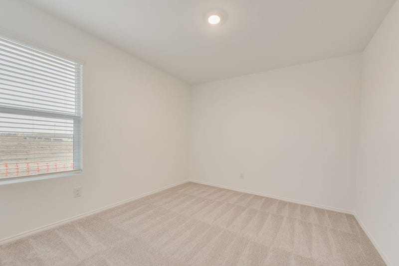 112 Cedar Sage Lane, Balch Springs TX 75181 - Photo 4