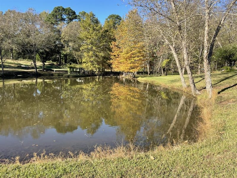 22233 County Road 223, Arp TX 75750 - Photo 6