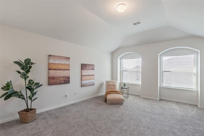 1413 Lake Grove Drive, Little Elm TX 75068 - Photo 19
