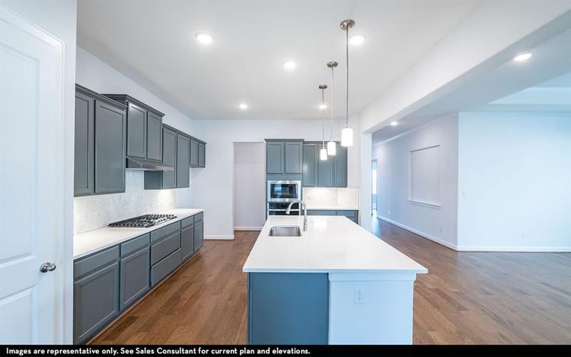16729 Freshwater Drive, Celina TX 75009 - Photo 2