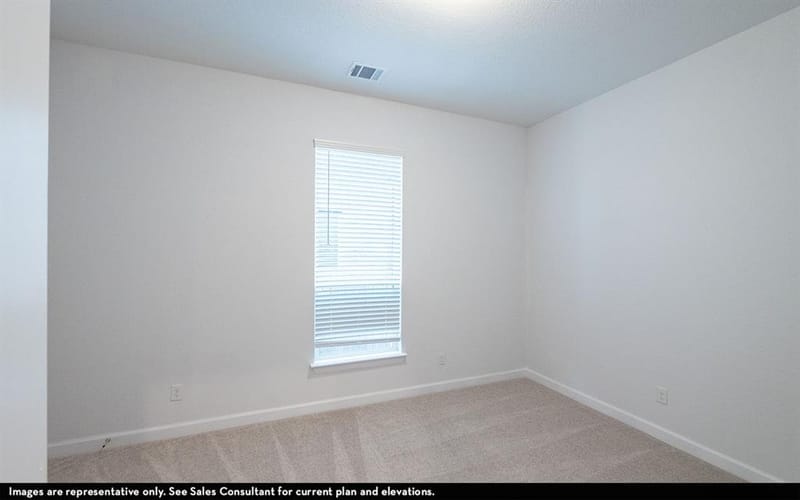 16729 Freshwater Drive, Celina TX 75009 - Photo 5