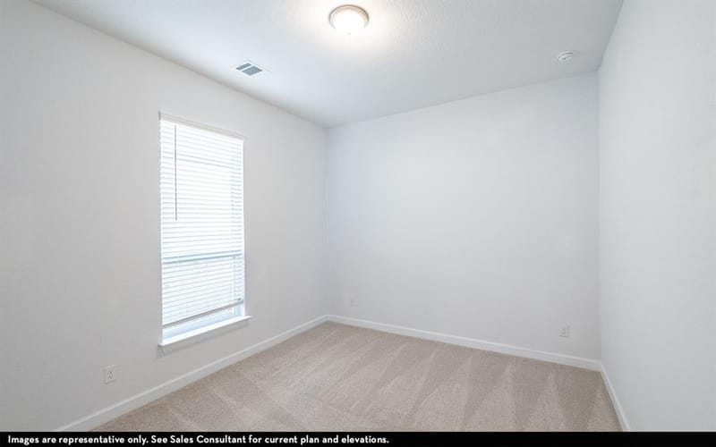 16729 Freshwater Drive, Celina TX 75009 - Photo 9