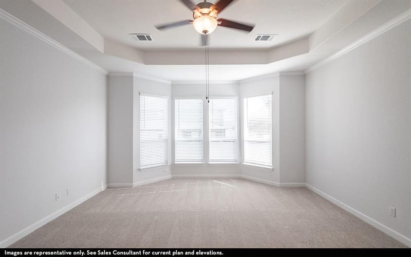 16729 Freshwater Drive, Celina TX 75009 - Photo 14