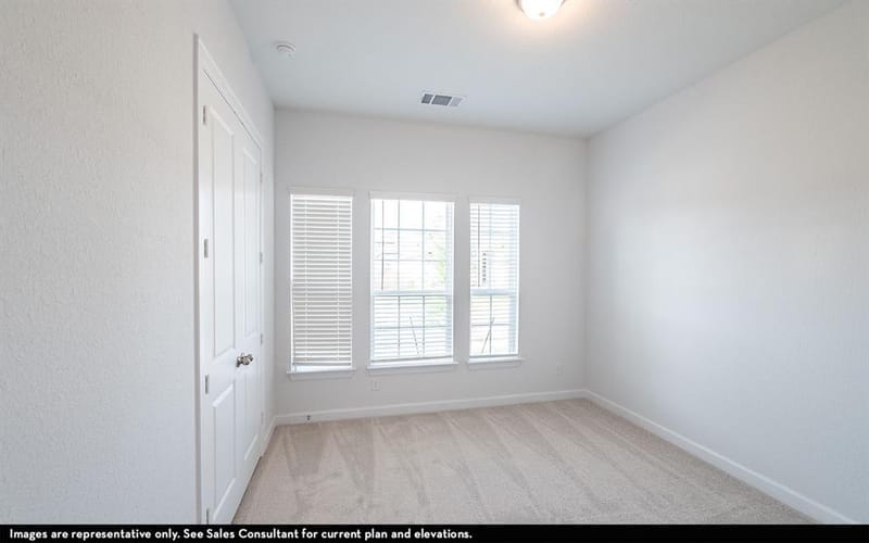 16729 Freshwater Drive, Celina TX 75009 - Photo 11