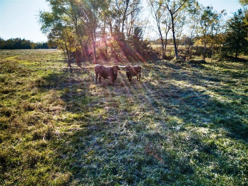 956 County Road 4231, Bonham TX 75418 - Photo 20