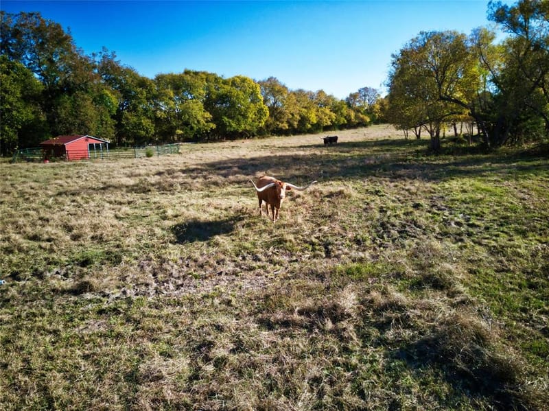956 County Road 4231, Bonham TX 75418 - Photo 19