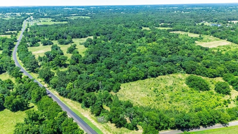 11591-2 Farm Road 269 S, Pickton TX 75471 - Photo 2