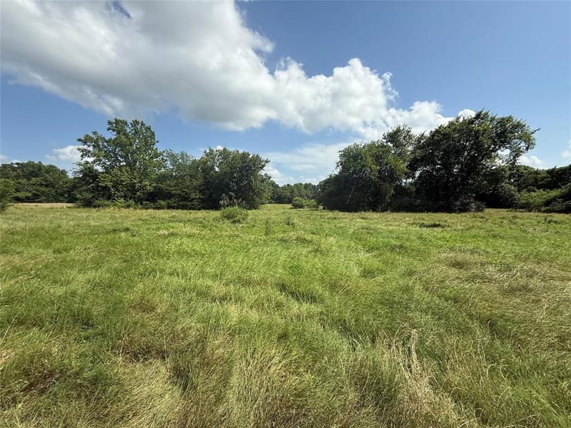 11591-2 Farm Road 269 S, Pickton TX 75471 - Photo 7