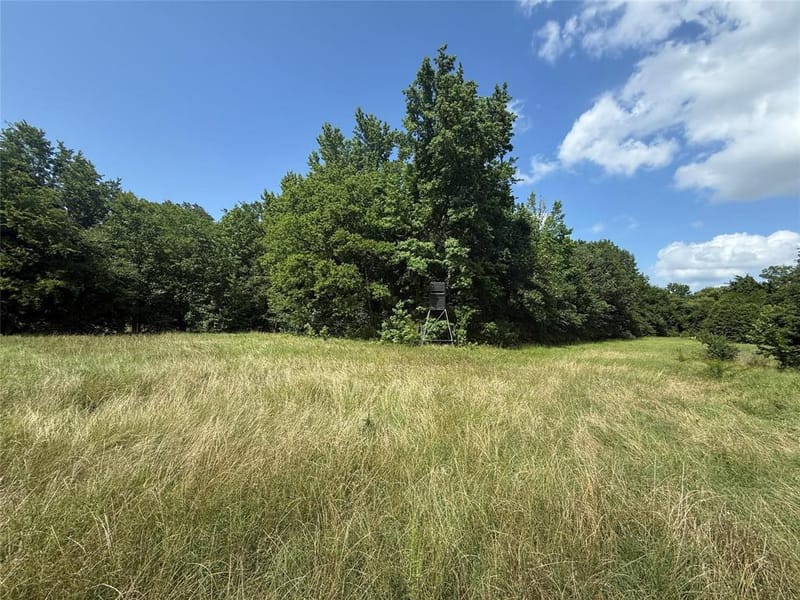 11591-2 Farm Road 269 S, Pickton TX 75471 - Photo 3