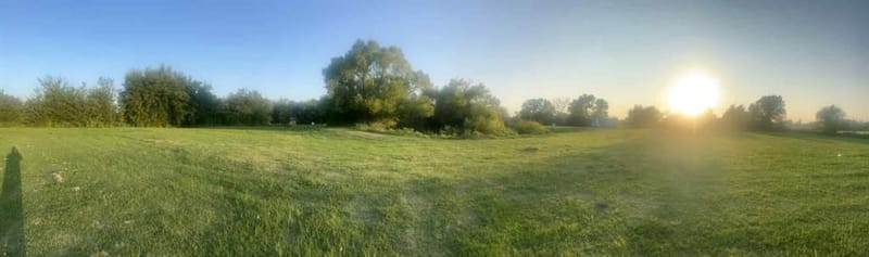 8079 Harden Oaks, Quinlan TX 75474 - Photo 6