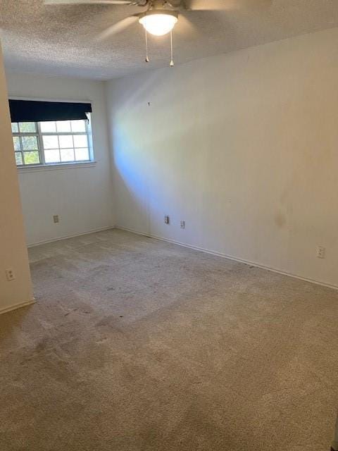 523 Softwood Drive, Duncanville TX 75137 - Photo 7