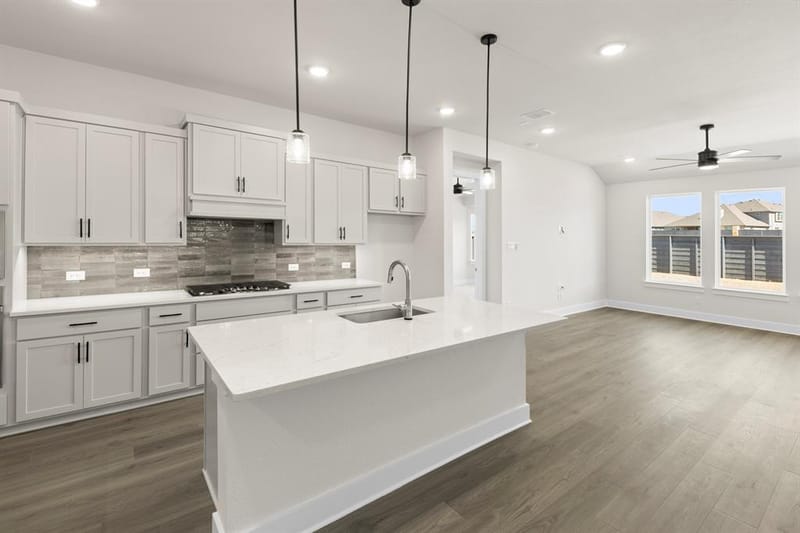 7204 Indian Paintbrush Lane, Little Elm TX 76227 - Photo 9