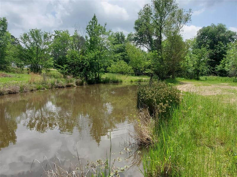 1156 RS County Road 1140, Emory TX 75440 - Photo 7