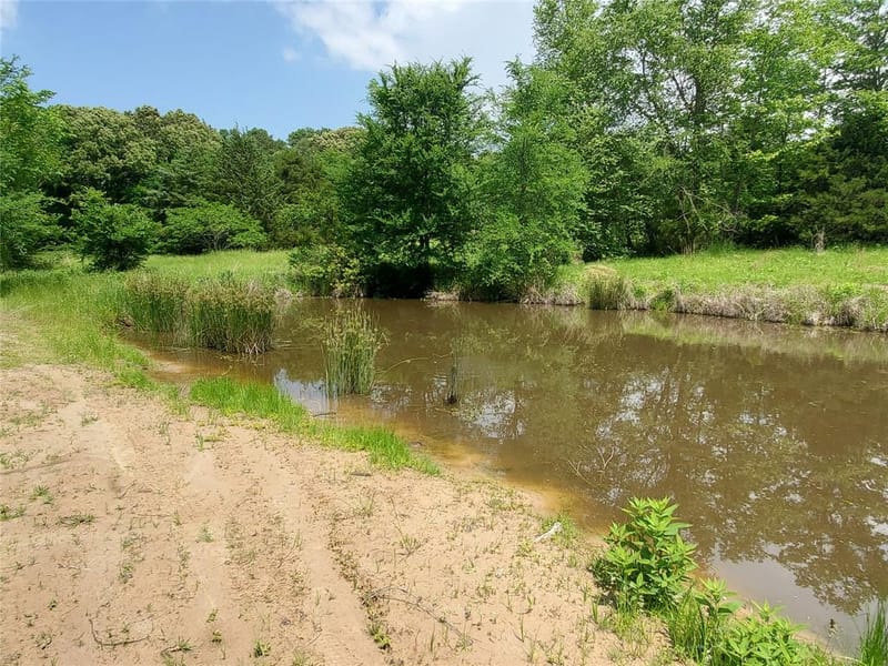 1156 RS County Road 1140, Emory TX 75440 - Photo 8