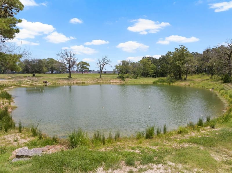 50 CR 3227 Unit 117, Mount Pleasant TX 75455 - Photo 12