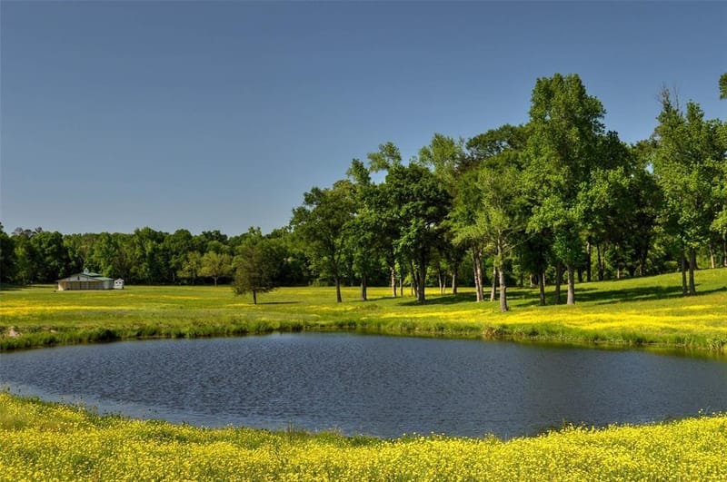 1765 Crabapple, Big Sandy TX 75755 - Photo 26