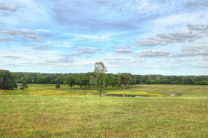 1765 Crabapple, Big Sandy TX 75755 - Photo 20