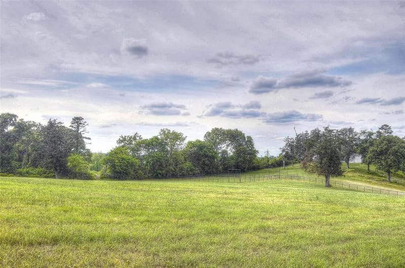 1765 Crabapple, Big Sandy TX 75755 - Photo 19