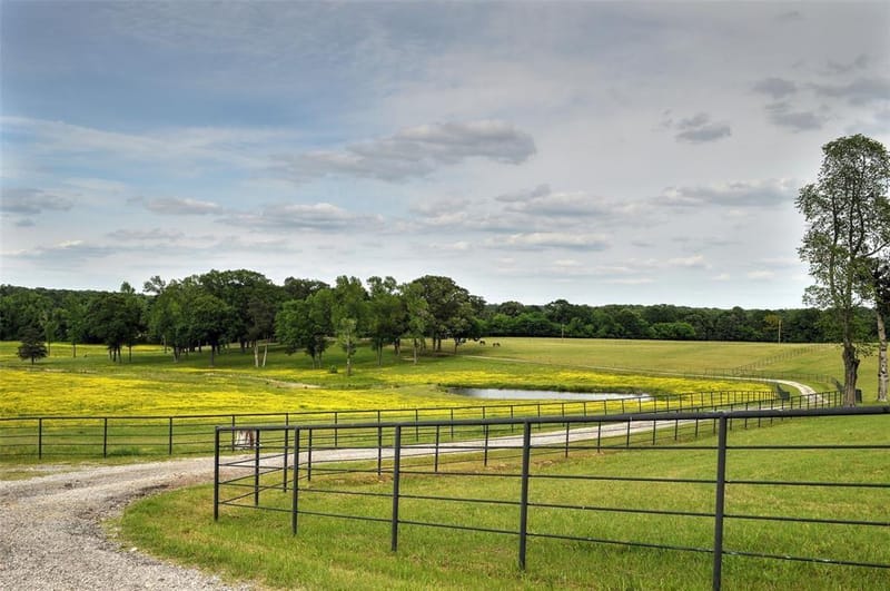 1765 Crabapple, Big Sandy TX 75755 - Photo 21