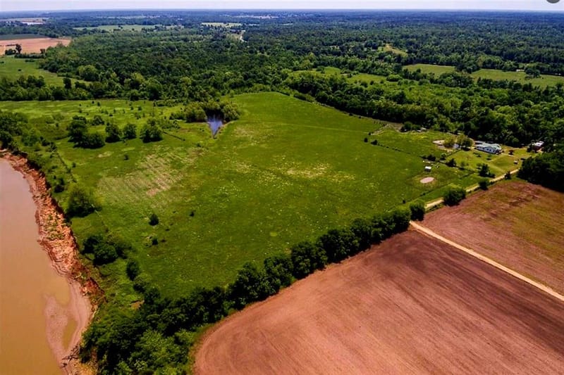 520 County Road 36980, Arthur City TX 75411 - Photo 6