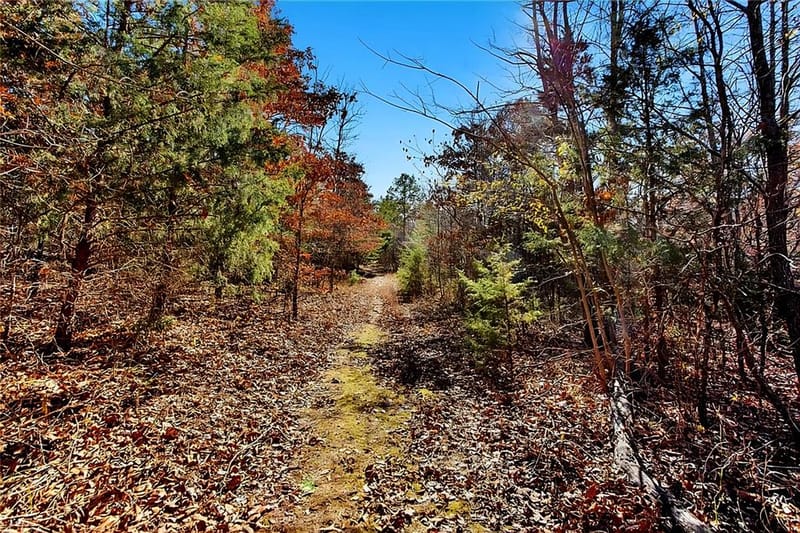 520 County Road 36980, Arthur City TX 75411 - Photo 28