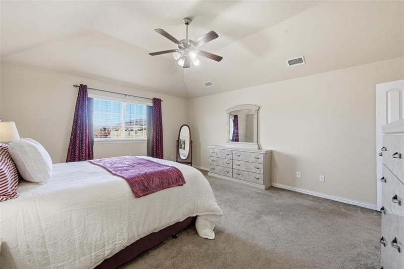 4222 Nia Drive, Irving TX 75038 - Photo 10