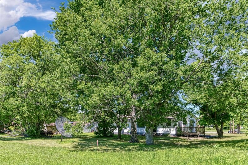 103 Ivy Street, Goodlow TX 75144 - Photo 32