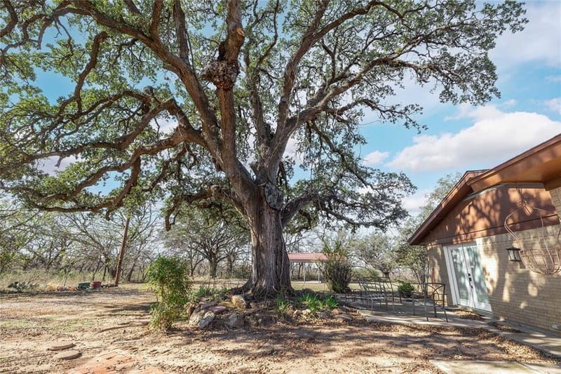 4701 County Road 337, Early TX 76802 - Photo 31