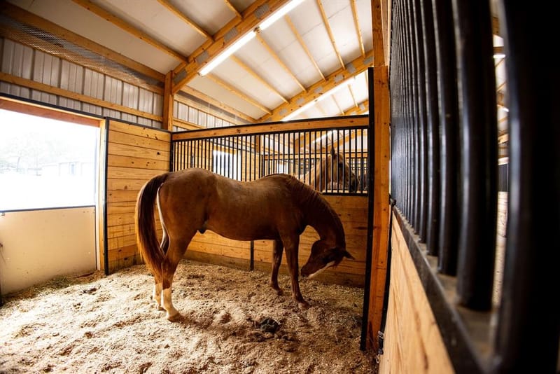370 VZ County Road 4134, Canton TX 75103 - Photo 8