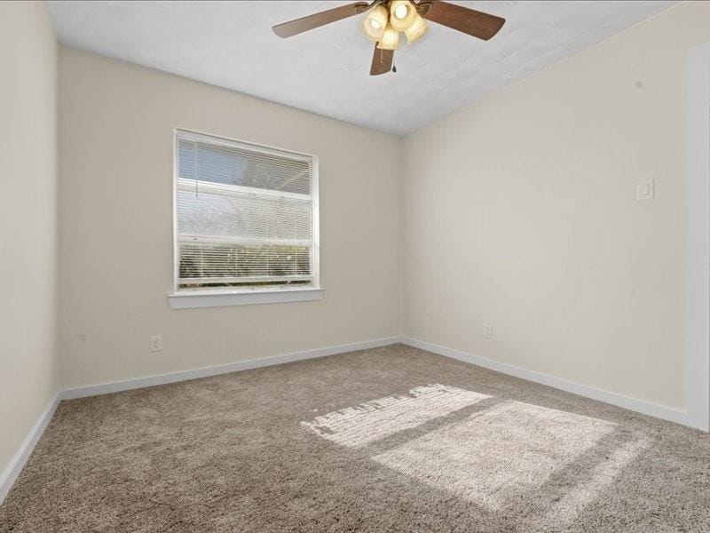 509 Bluewood Drive, Dallas TX 75232 - Photo 13