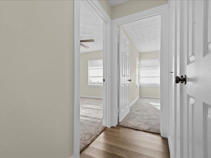 509 Bluewood Drive, Dallas TX 75232 - Photo 10