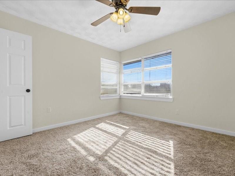 509 Bluewood Drive, Dallas TX 75232 - Photo 11