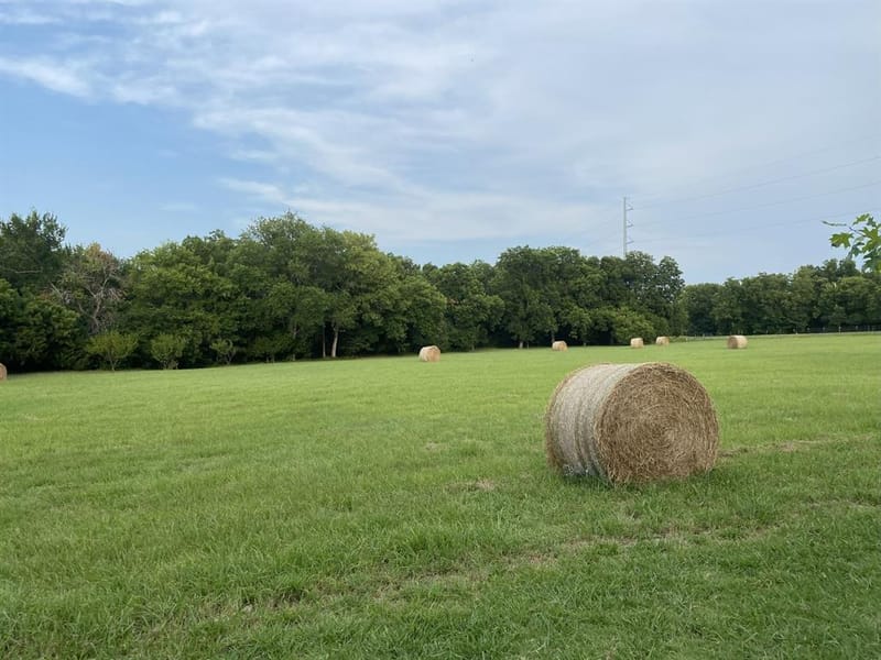 10899 County Road 496, Princeton TX 75407 - Photo 38