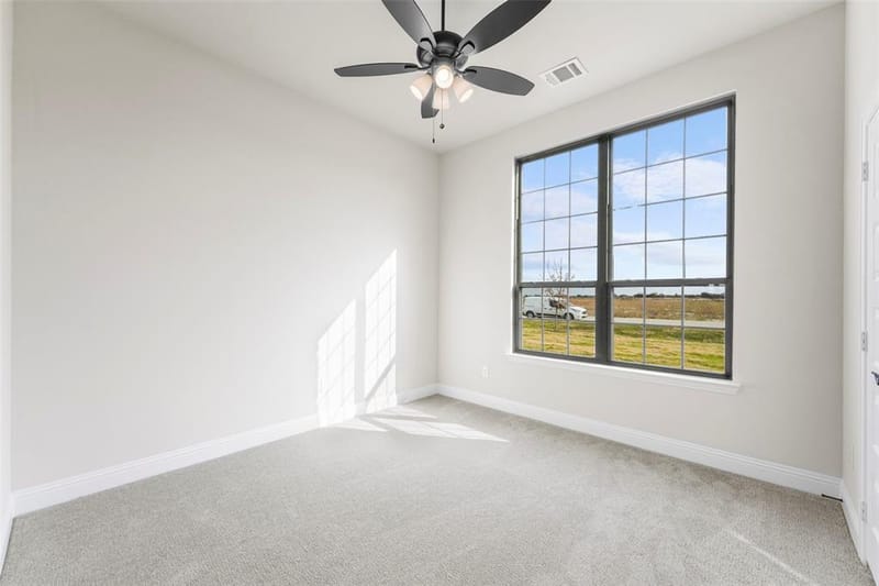 144 Lila Lake Drive, Waxahachie TX 75165 - Photo 6
