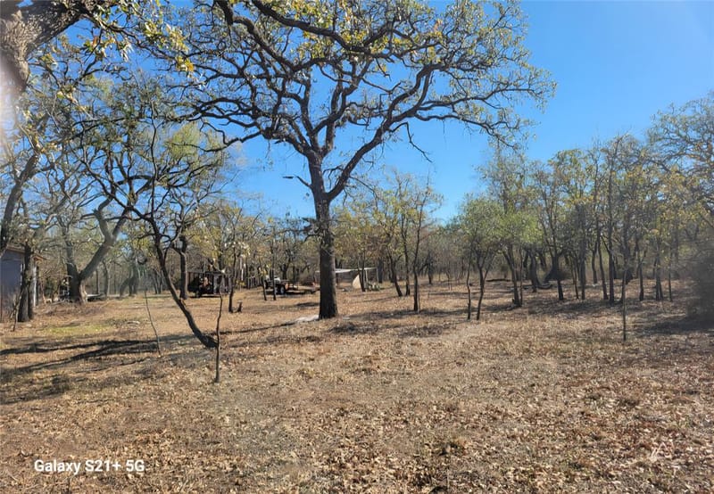 509 County Road 143, Bangs TX 76823 - Photo 16
