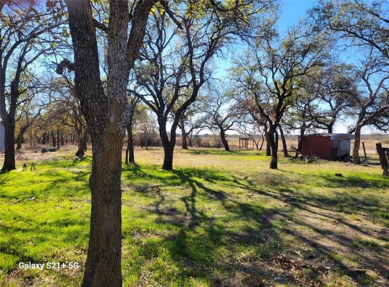 509 County Road 143, Bangs TX 76823 - Photo 15