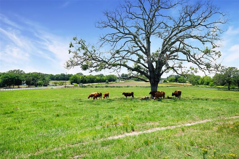 575 County Road 1214, Quitman TX 75783 - Photo 28