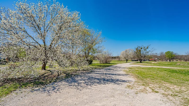 528 Stonegate Drive, Paradise TX 76073 - Photo 12