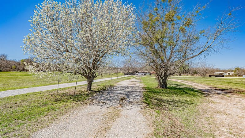 528 Stonegate Drive, Paradise TX 76073 - Photo 5