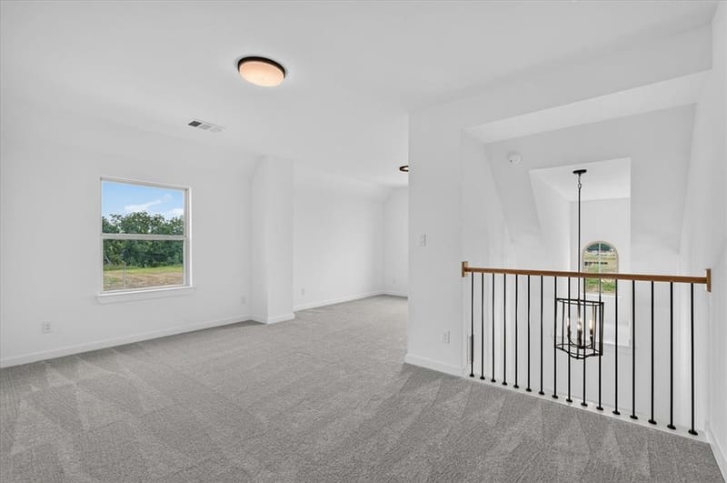 1905 Channel Island Lane, Celina TX 75009 - Photo 20
