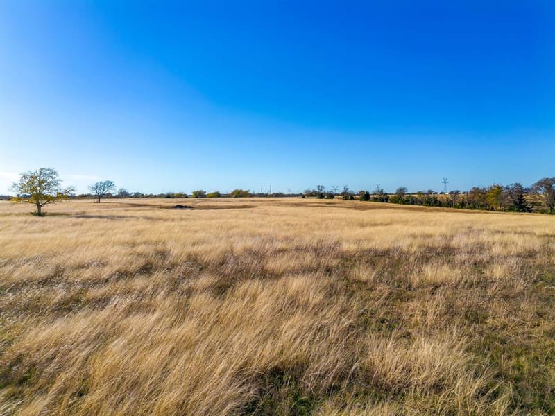1791 N FM 730 Road, Decatur TX 76234 - Photo 12