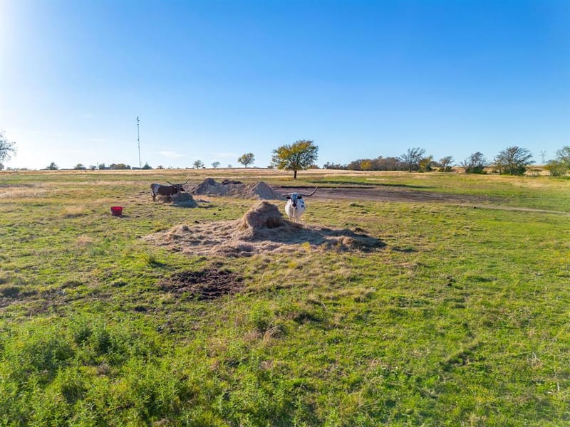 1791 N FM 730 Road, Decatur TX 76234 - Photo 11
