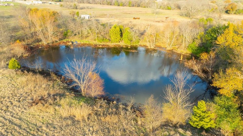 1495 VZ CR 3908, Wills Point TX 75169 - Photo 23