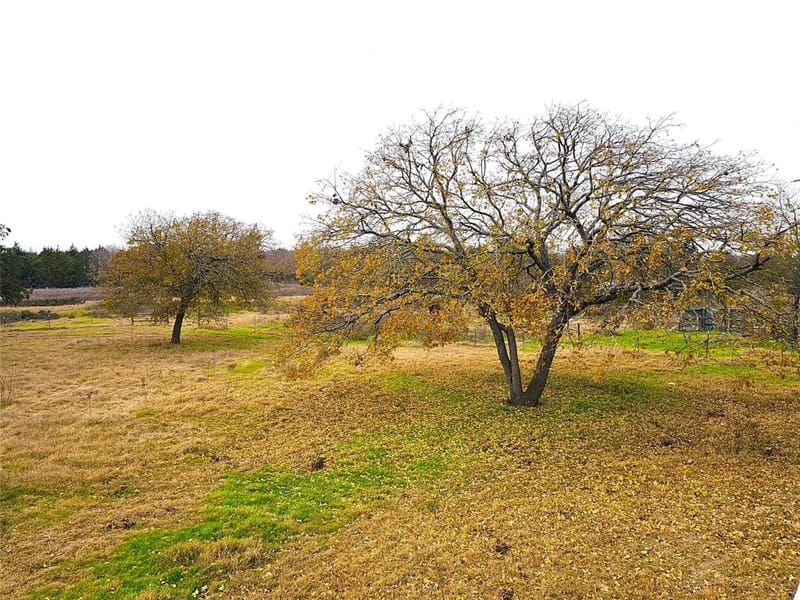 2240 County Road 2162, Barry TX 75102 - Photo 10