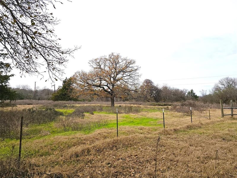 2240 County Road 2162, Barry TX 75102 - Photo 8