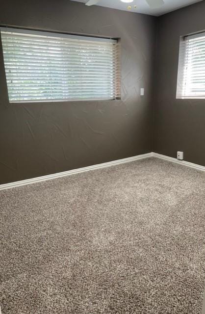 446 Highland, Richardson TX 75081 - Photo 3