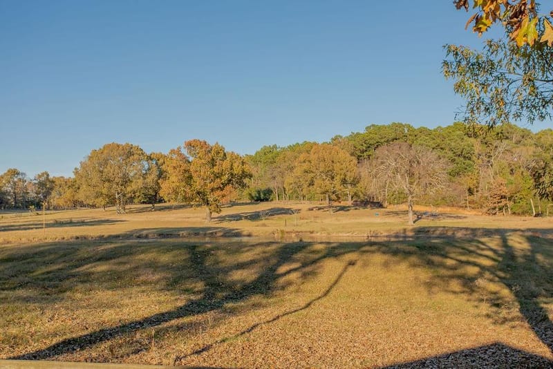 12575 Fm 3271, Tyler TX 75704 - Photo 6