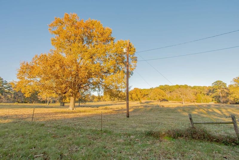 12575 Fm 3271, Tyler TX 75704 - Photo 38